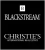 BlackStream International